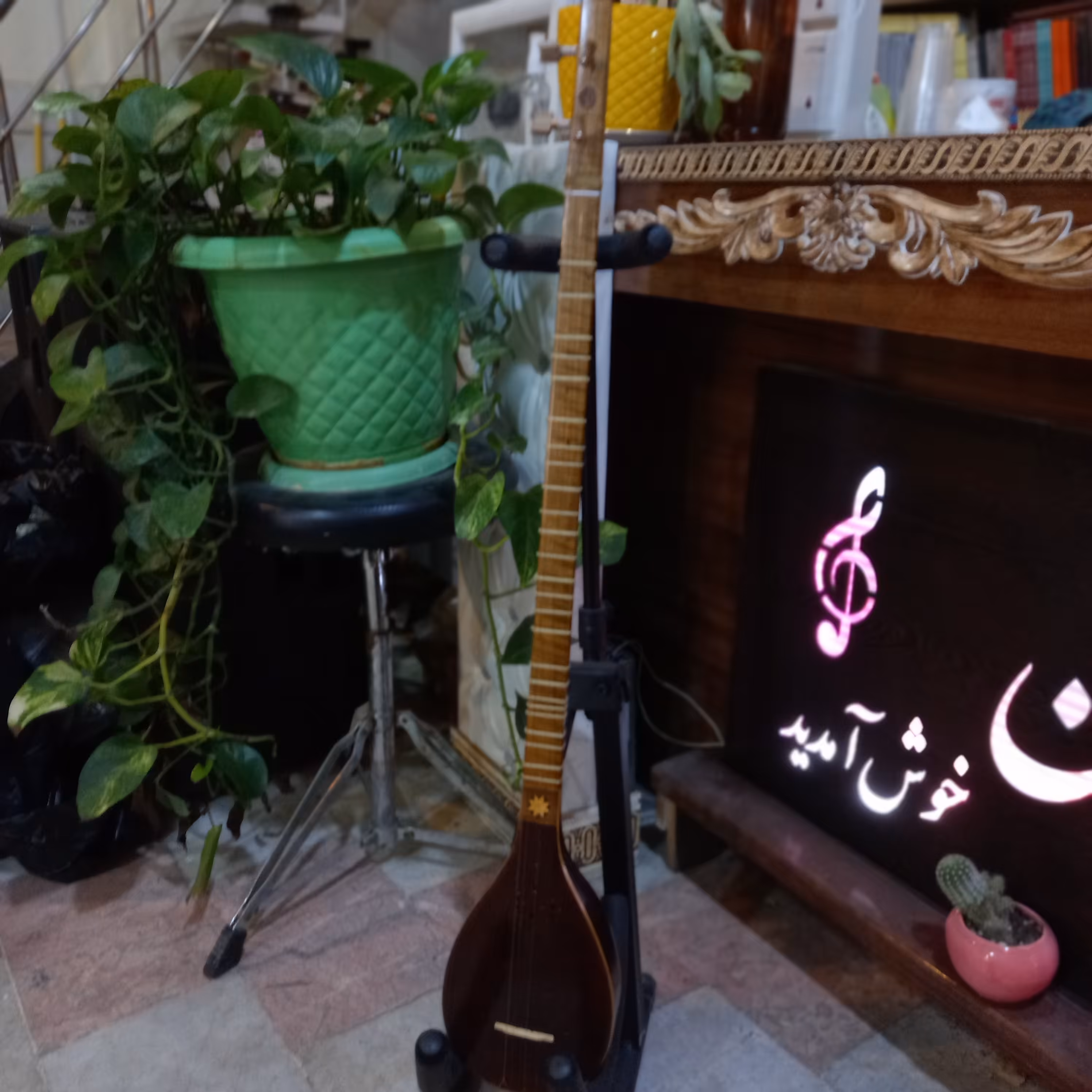 سه تار  ذوالقدر  تک مهر همرا ه با هاردکیس