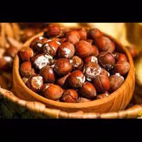 فندق برشته یک کیلویی لوکس