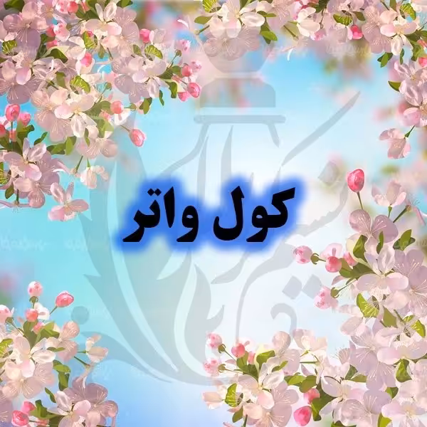 عطر کول واتر درجه یک با پخش بوی عالی(یک گرم)