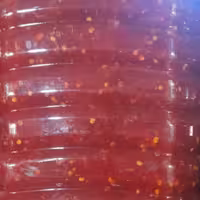 ترشی بندری معجون فلفل 1 کیلویی