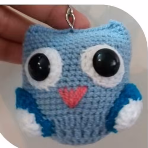 جاسوئیچی بافتنی جغدی