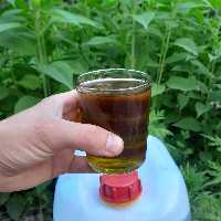 روغن زیتون فرابکربابوپرس سرد( گالن14لیتری ) تضمین کیفیت از باغدار خرید کنید روغن زیتون خالص روغن زیتون بابو روغن زیتون