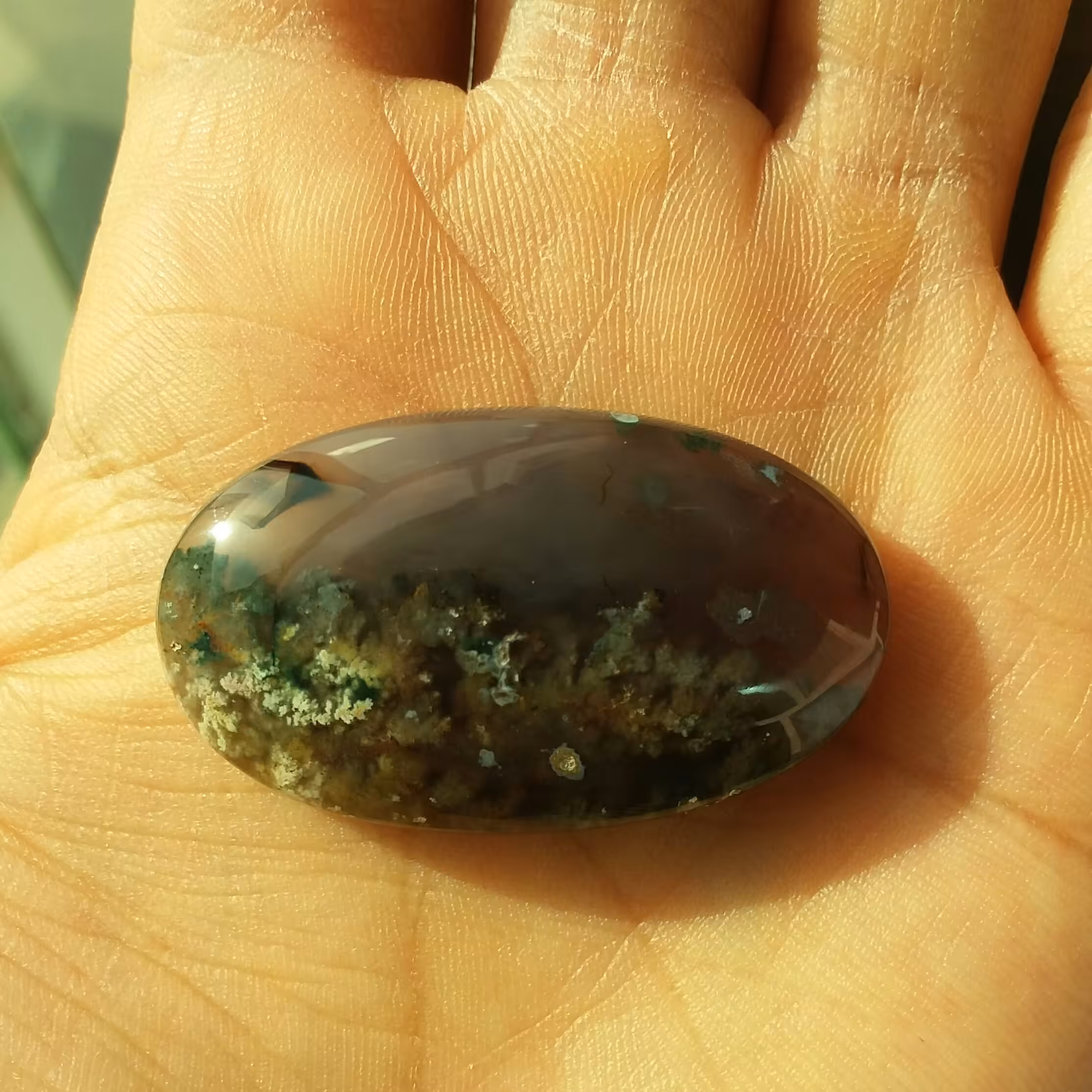 نگین شجر شکوفه 7رنگ زمینه سوسنی پر رنگ محشر بسیااااار خاص شاهکار خلقت کاملا طبیعی سایز درشت