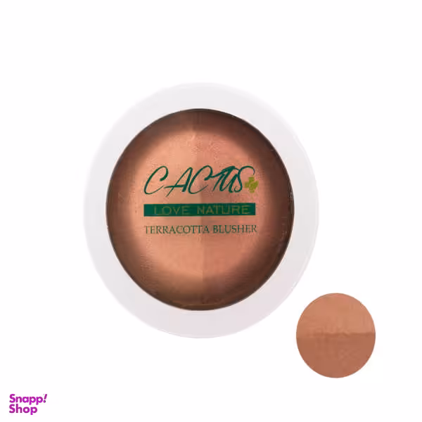 هایلایتر و کانتورینگ کاکتوس (Cactus) شماره 43