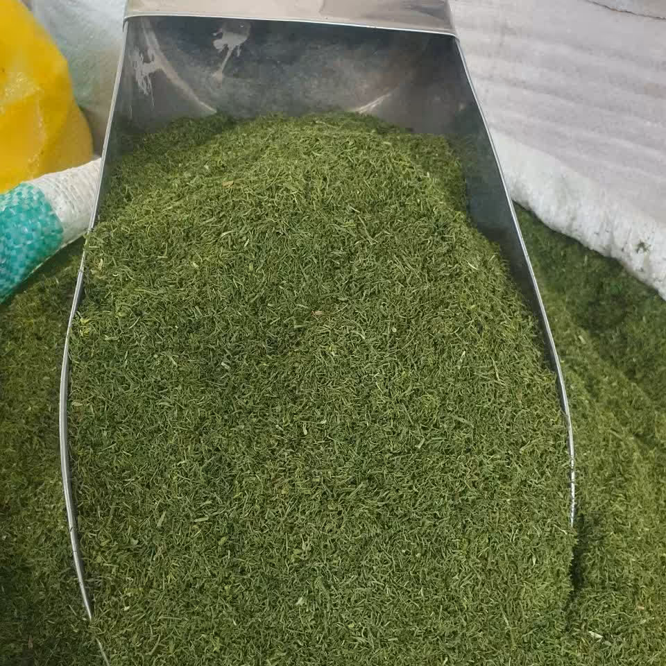 شوید خشک 500 گرم  