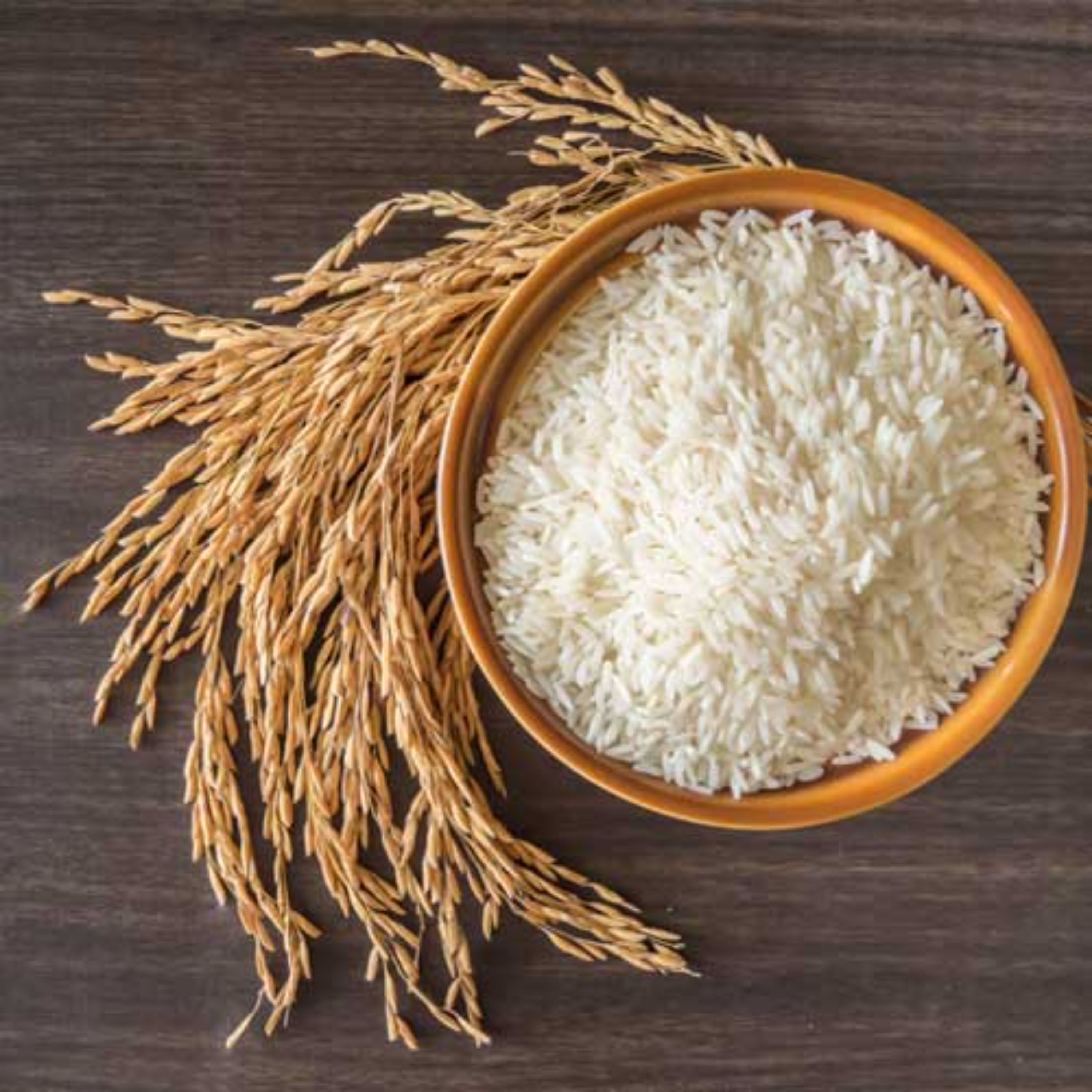 برنج طارم هاشمی و فجر اصل خرید مستقیم از کشاورز