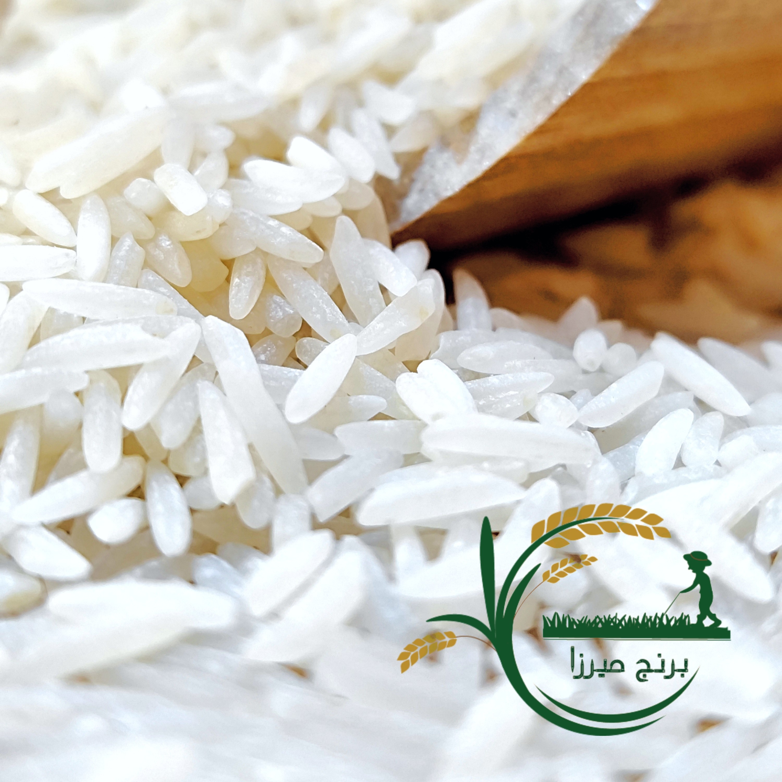 برنج ایرانی فجر سوزنی -معطر و خوش پخت .در بسته بندی های یک تا ده کیلویی