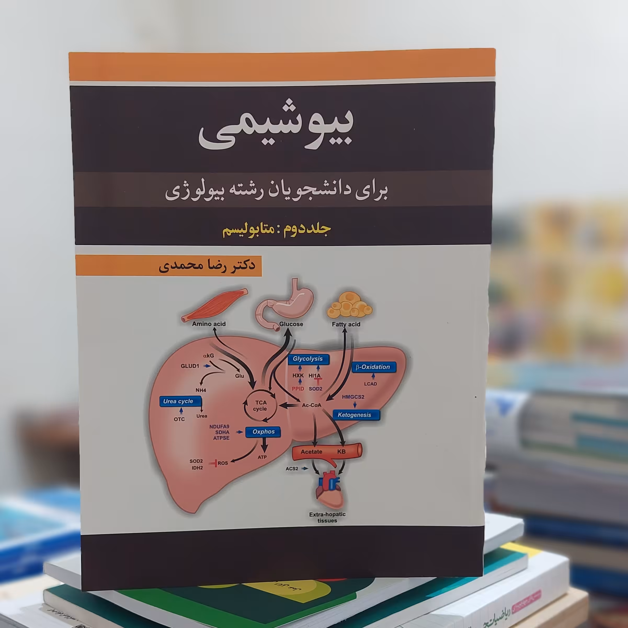 بیوشیمی برای دانشجویان رشته بیولوژی جلد دوم متابولیسم دکتر رضا محمدی