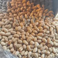 سویا برشته (پسکرایه)