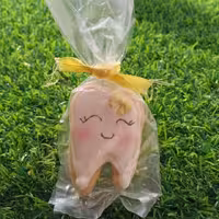 کوکی دندون با روکش آیسینگ ارسال با پیشتاز 