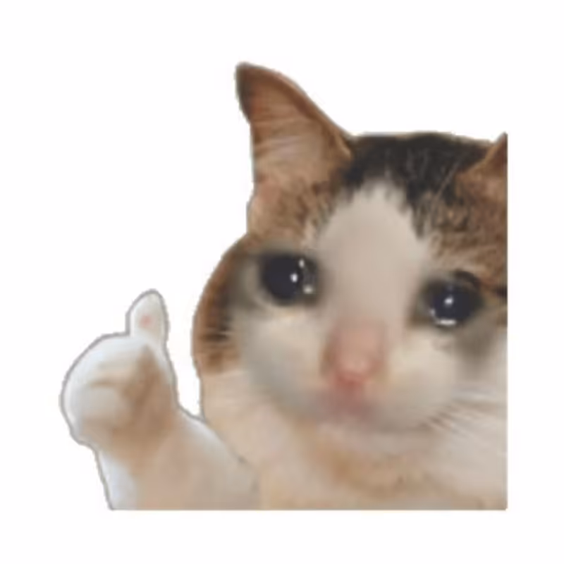 استیکر لپ تاپ مدل funny کد 2718