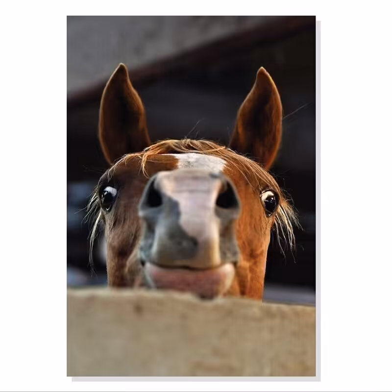 تابلو شاسی طرح چهره بانمک اسب Horse Cute Face مدل M0692