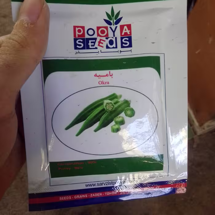 بذر بامیه