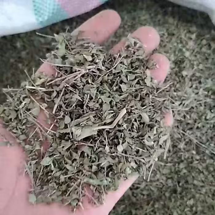 آویشن خراسانی برگ باریک (بسته 250 گرمی)