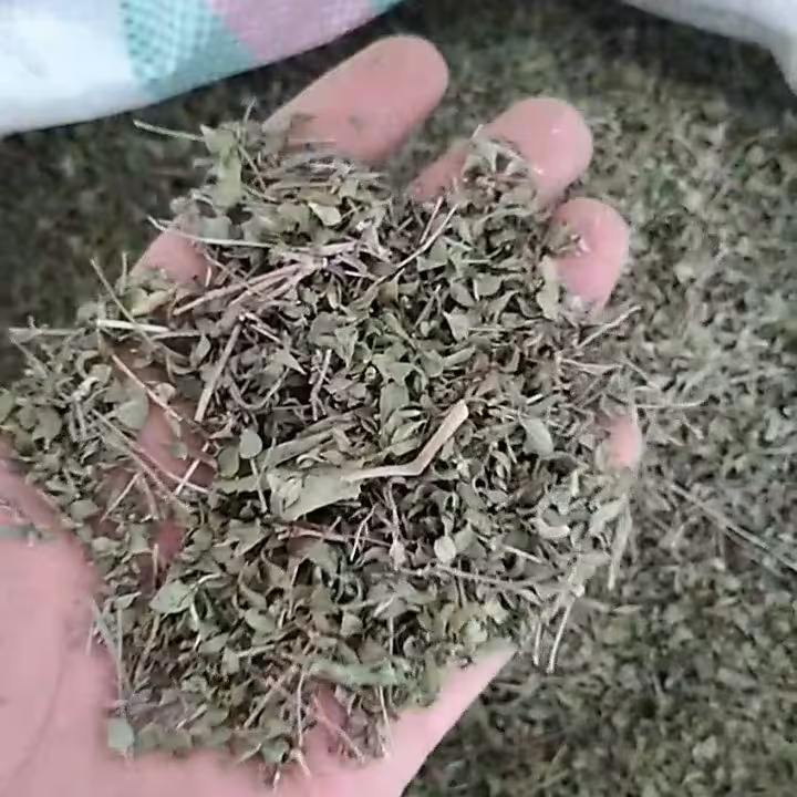 آویشن خراسانی برگ باریک (بسته 250 گرمی)