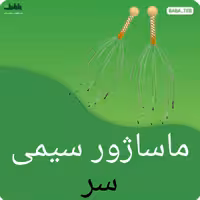 ماساژور سیمی سر 12 پر 