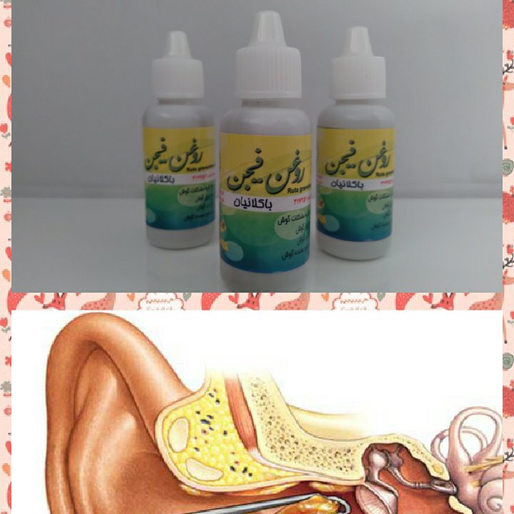 روغن فیجن