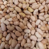 سویا آجیلی لیمویی ممتاز و مقوی 