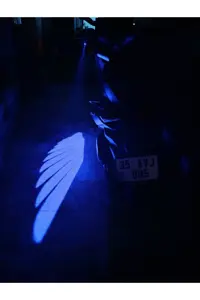 ست لوازم جانبی موتورسیکلت موتور سیکلت LED WING LIGHT نورپردازی شیک و قابل توجه برای رانندگی در شب Kawasaki