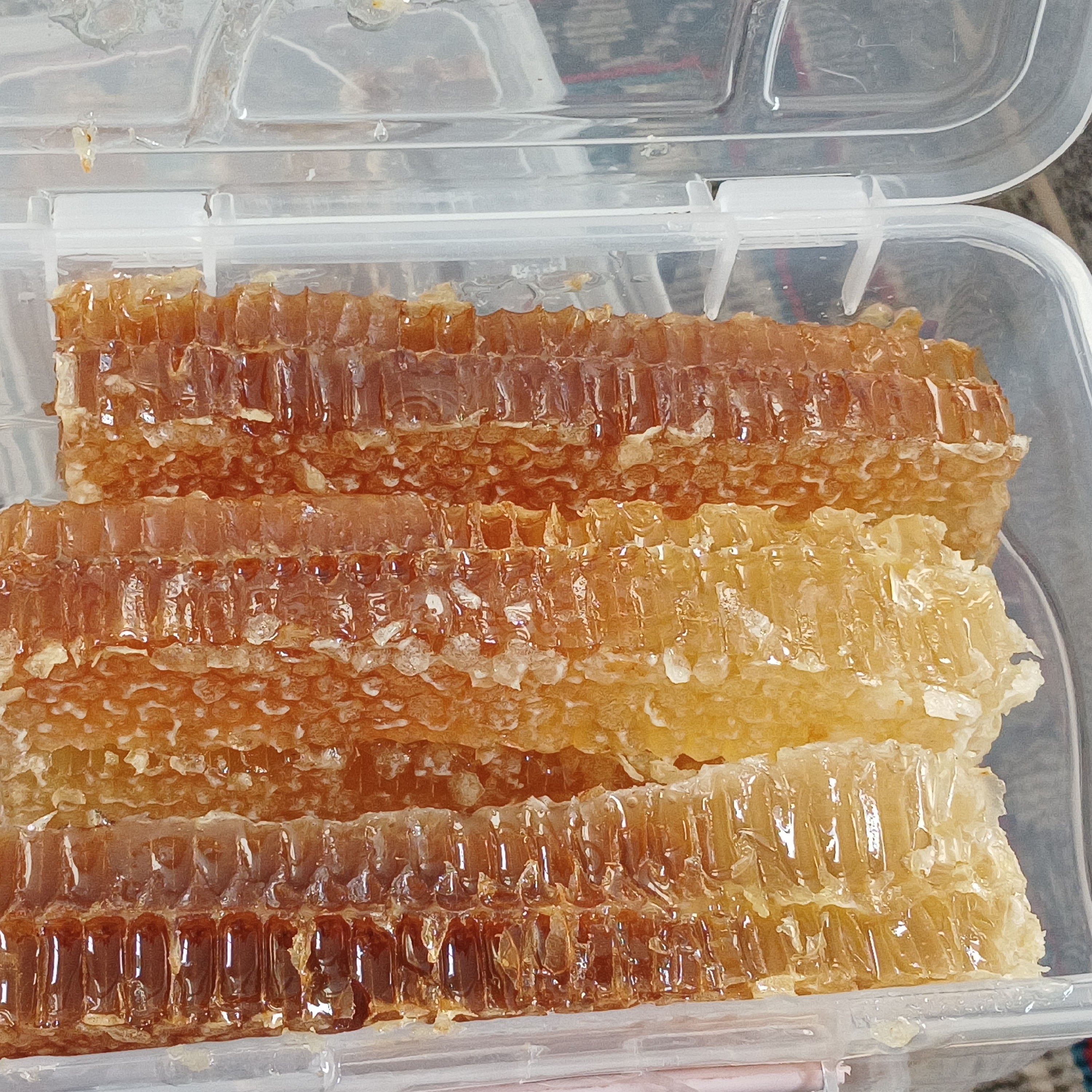 عسل موم دار طبیعی صدرصد تضمینی با بسته بندی اعلا