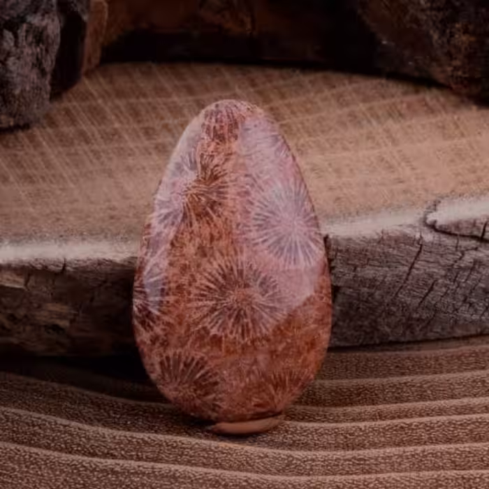 نگین فسیل مرجان کد : NMR28