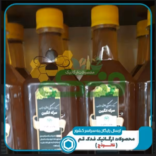 سرکه انگبین نعنایی فدک (بزرگ)