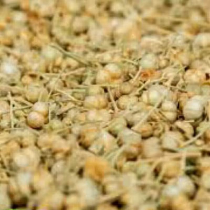 اسپند نخودی (اسفند)