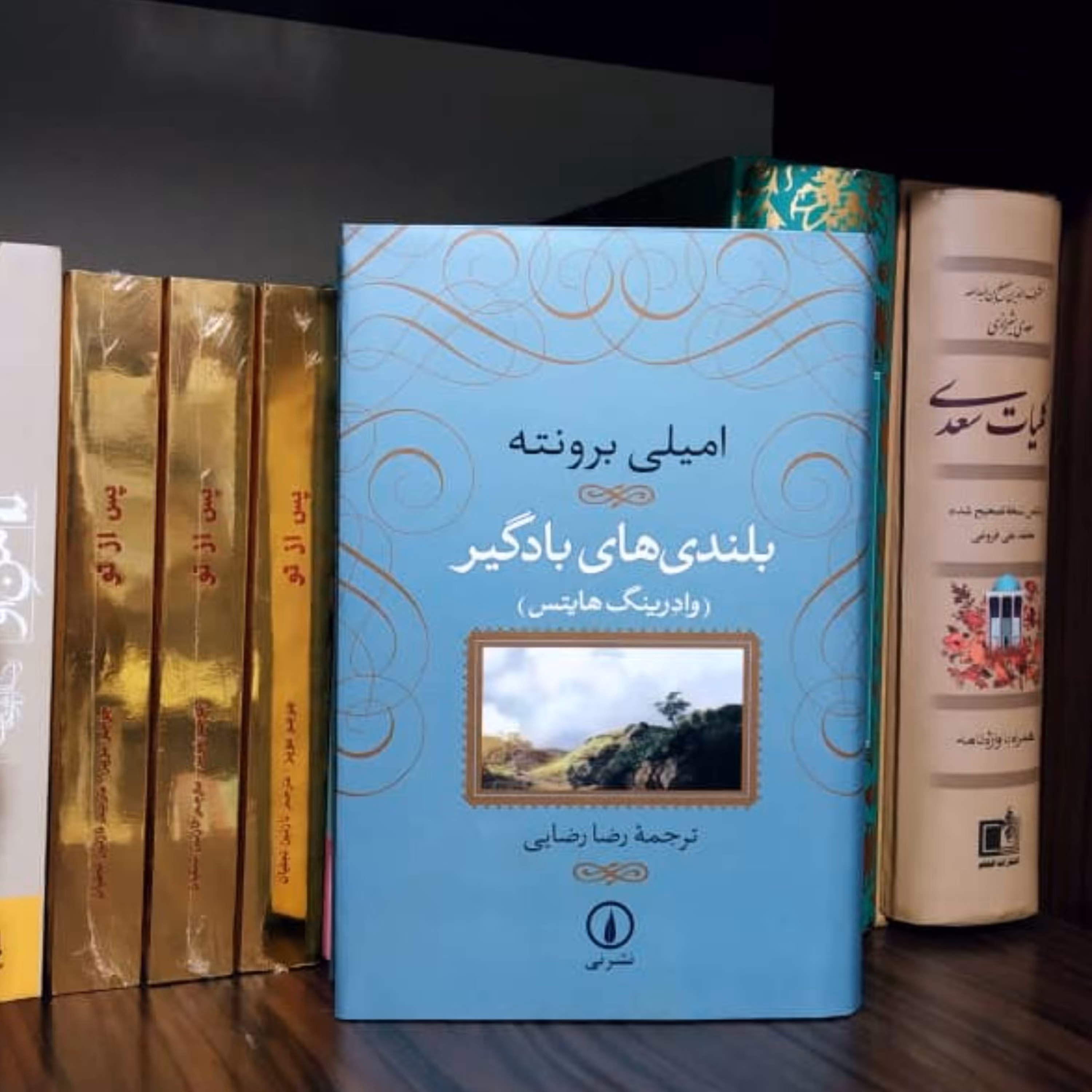 بلندی های بادگیر امیلی برونته نشر نی