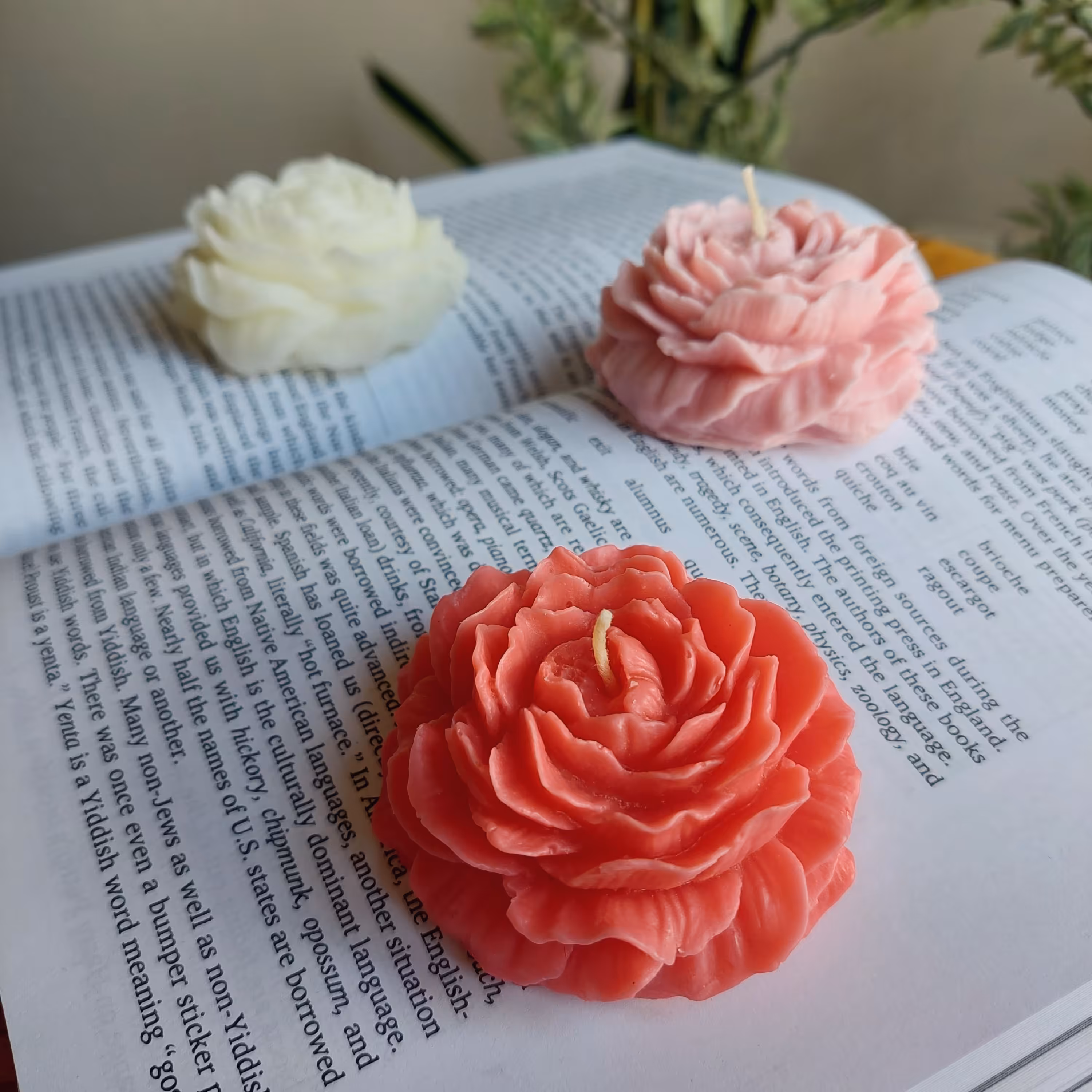 شمع  گل آلاله