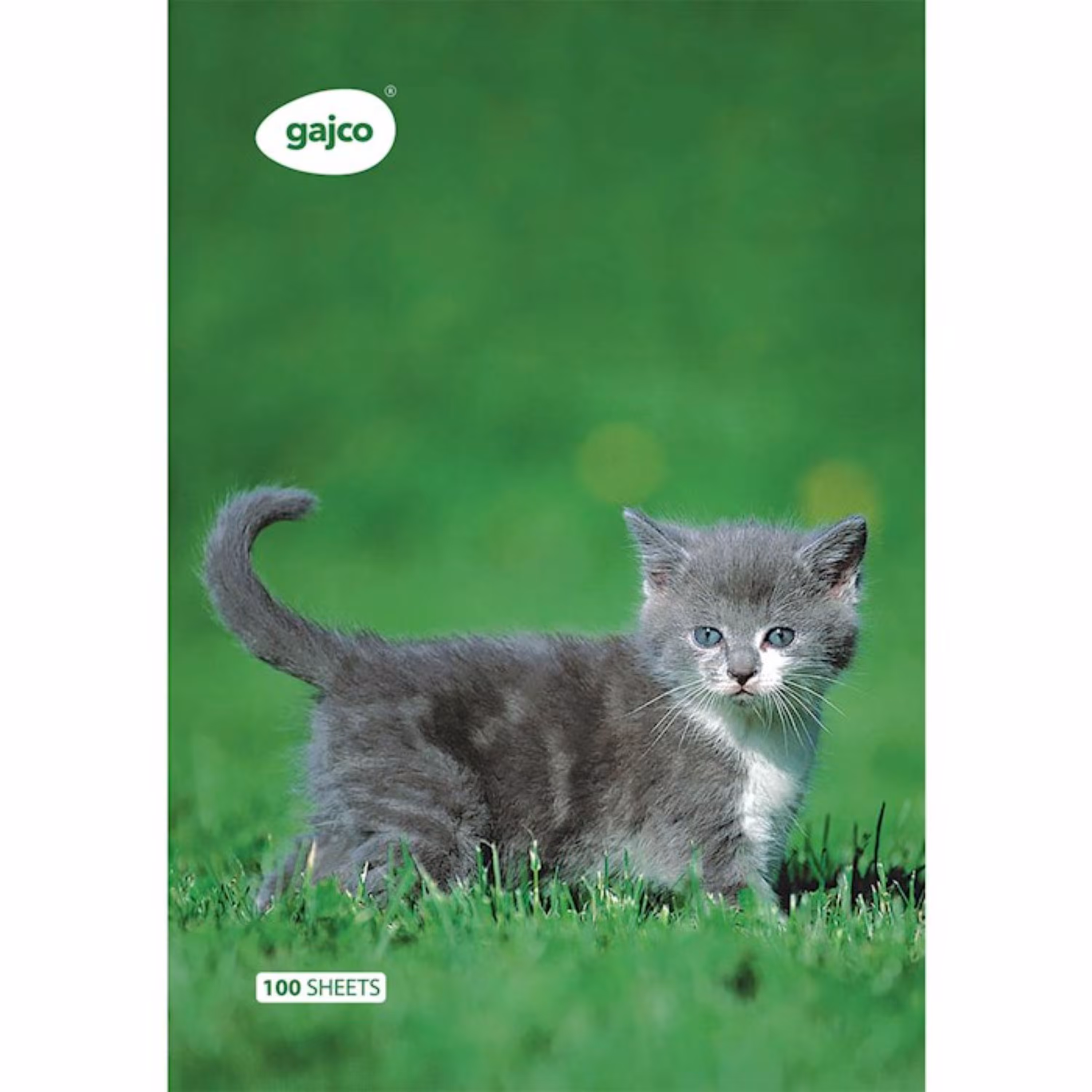 دفتر شکلاتی 100 برگ گاجکو طرح پیشی 