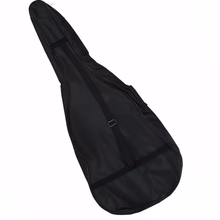 کیف گیتار ضد ضربه