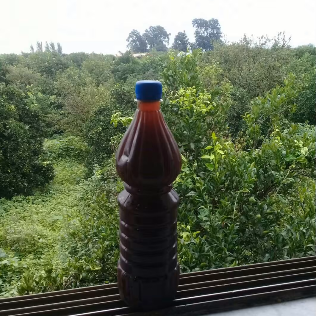 شربت خانگی پونه یا اوجی  مازندران (1000)گرمی