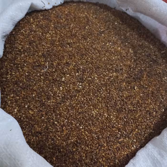 کنجد قهوه ای (500 گرمی )