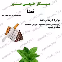 سیگار نعناء طبیعی (بسته  100 عددی همراه 1 اشانتیون)