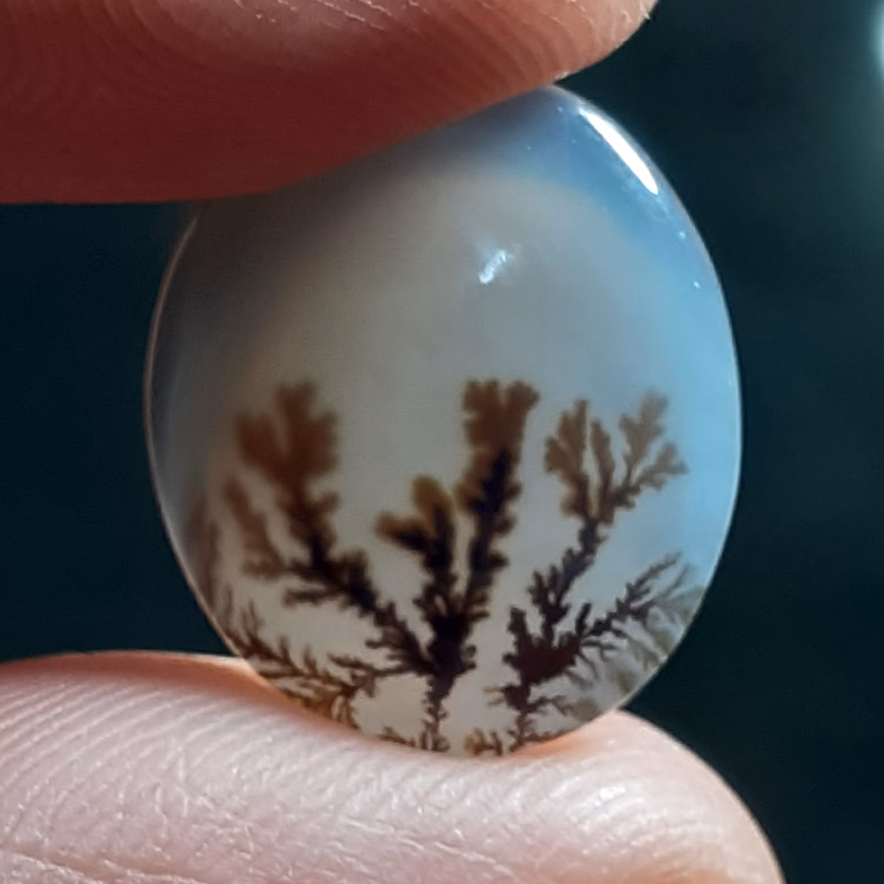 نگین عقیق شجر قاین اصل