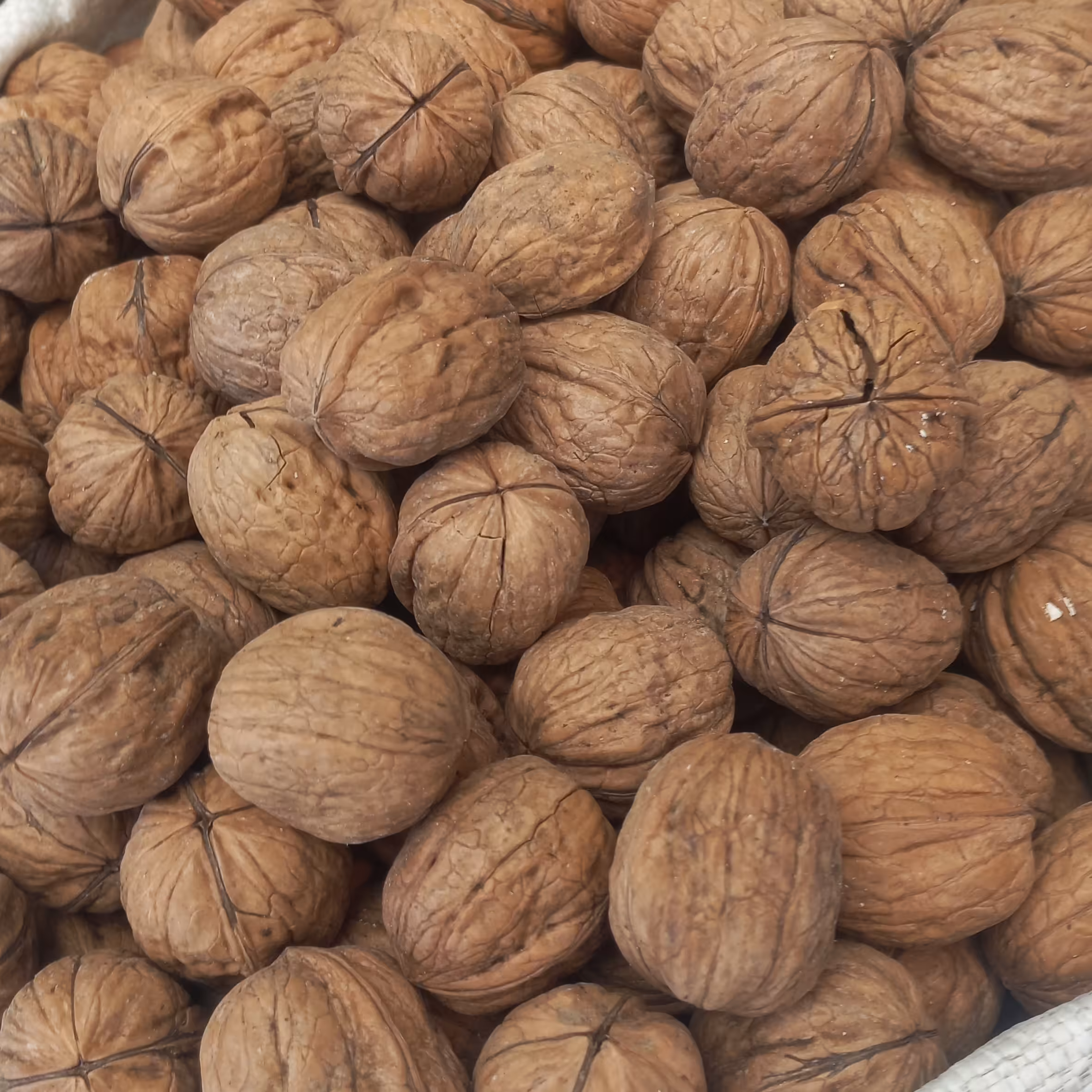 گردو خارجی درجه 1