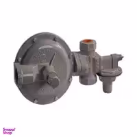 رگلاتور گاز گازسوزان مدل 100