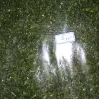 نعناع خشک خانگی