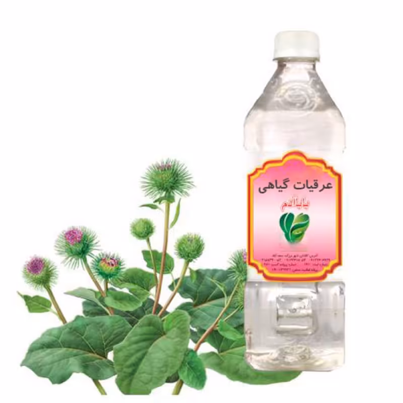 عرق بابا آدم