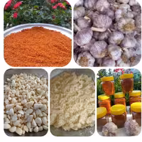 سیر داغ شمال در وزن (1000)گرم