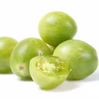 بذر گوجه فرنگی سبز Green Doctor آمریکایی بسته 10 عددی