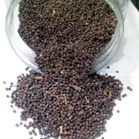 برنگ کابلی