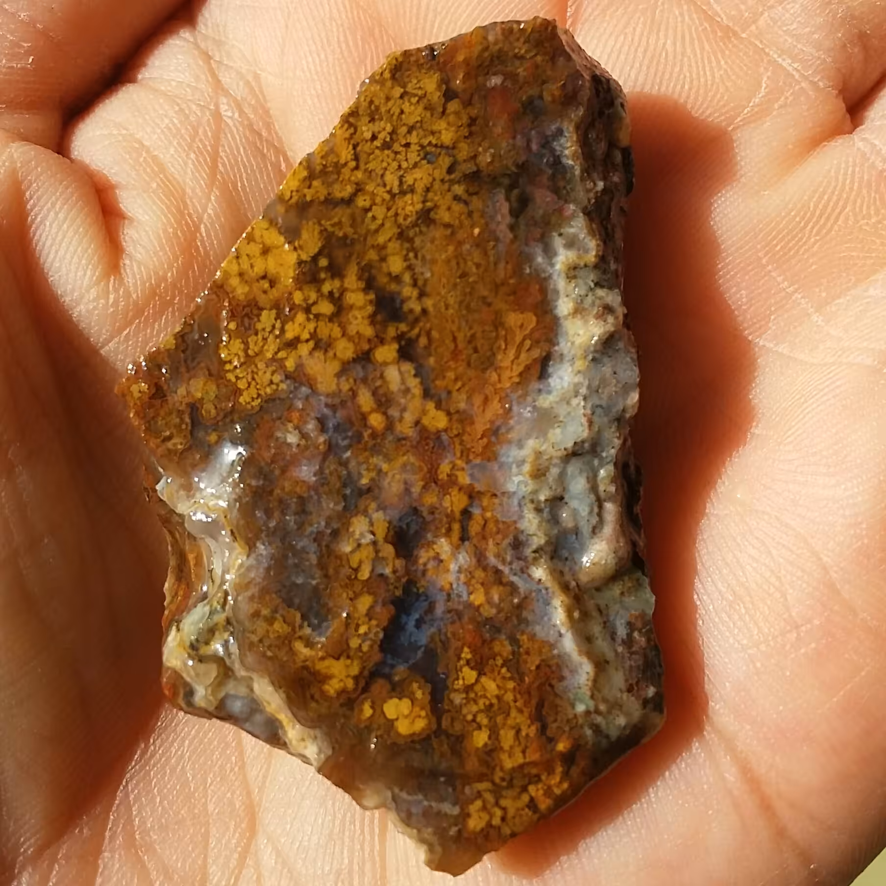 سنگ راف شجر پاییزی خااااااص زیبااااا 100درصد طبیعی بی نظییییییییر