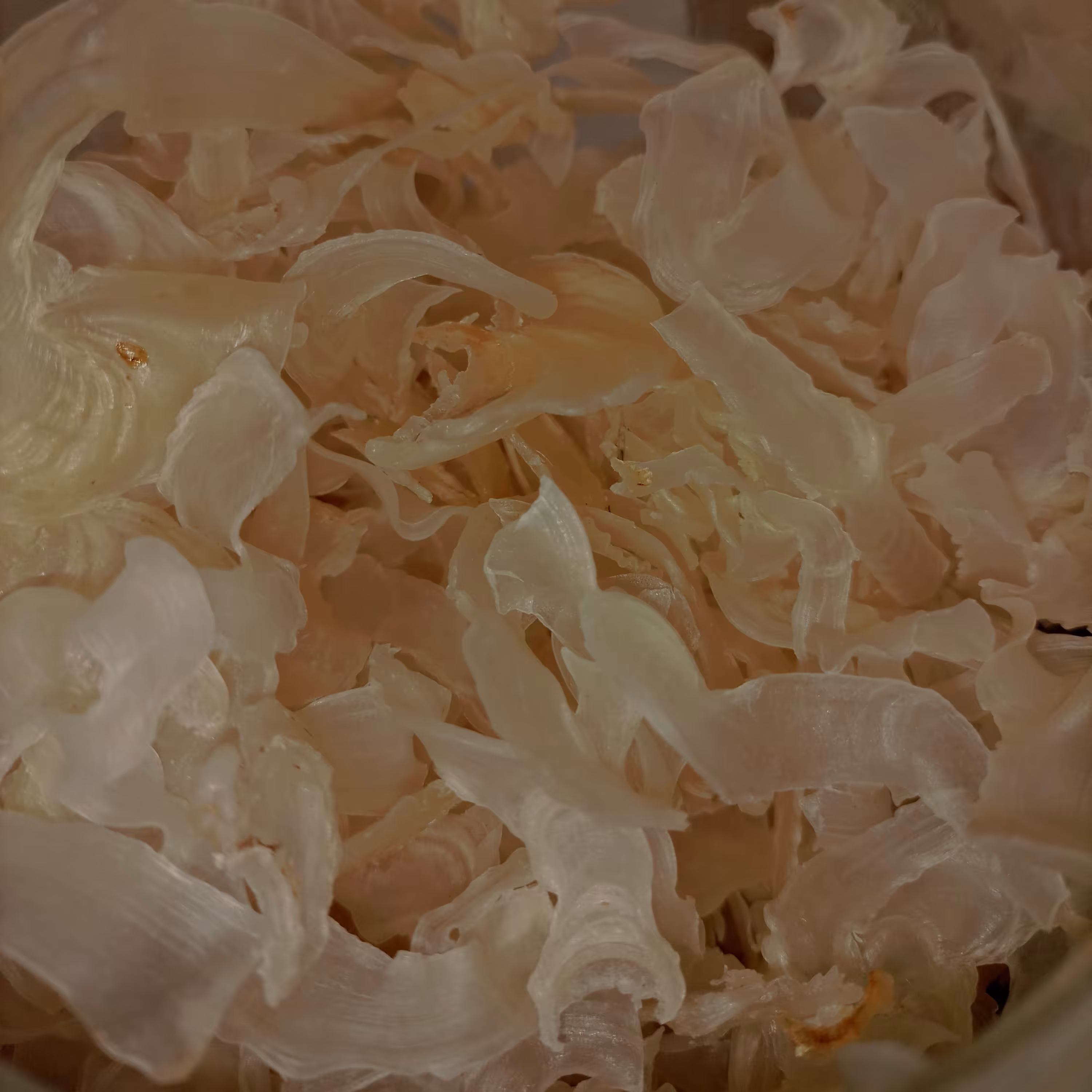 کتیرا خشک اسلایس 100 گرمی ( عطاری فاطر )