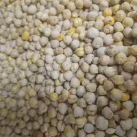 نخودچی گوشتی 