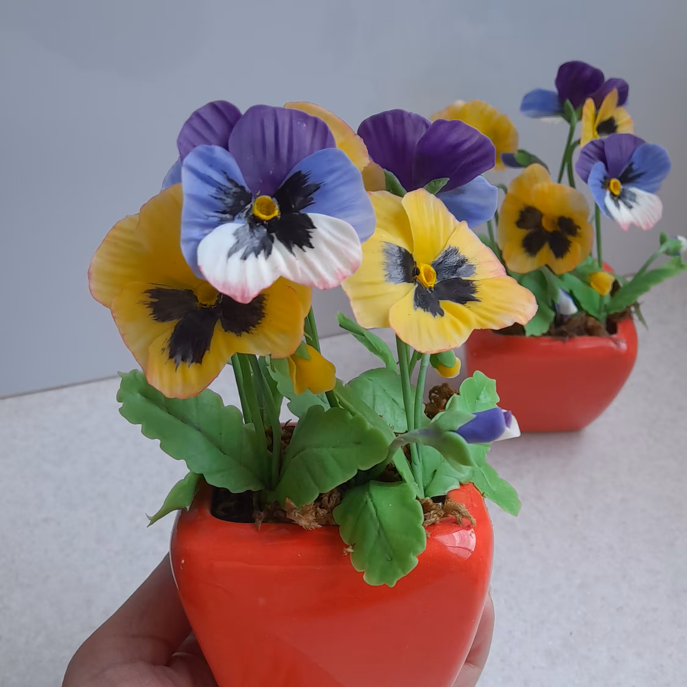 گل بنفشه 1 (پس کرایه)