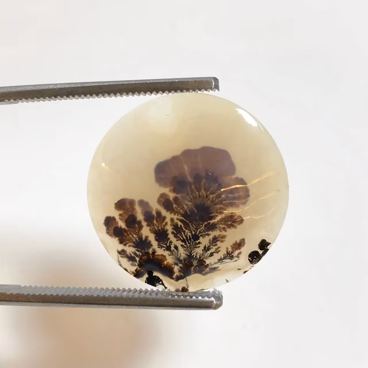 سنگ قیمتی عقیق شجر گرد 250037