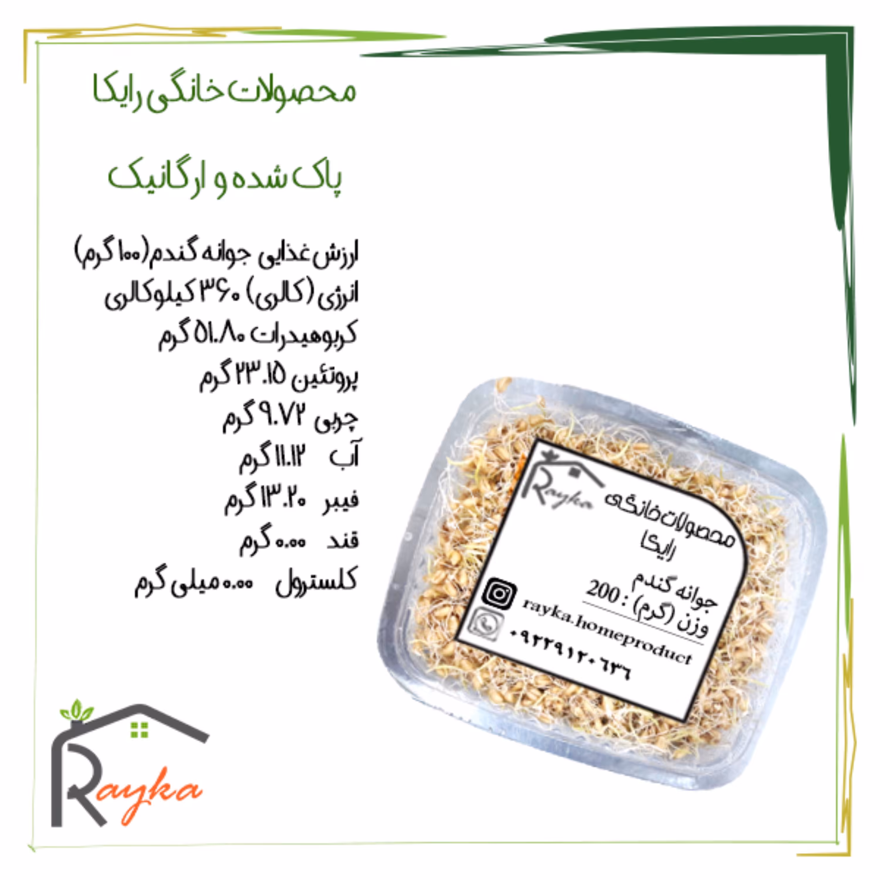 جوانه گندم رایکا - کاملاً پاک شده و تمیز (بسته بند ی 200 گرمی)