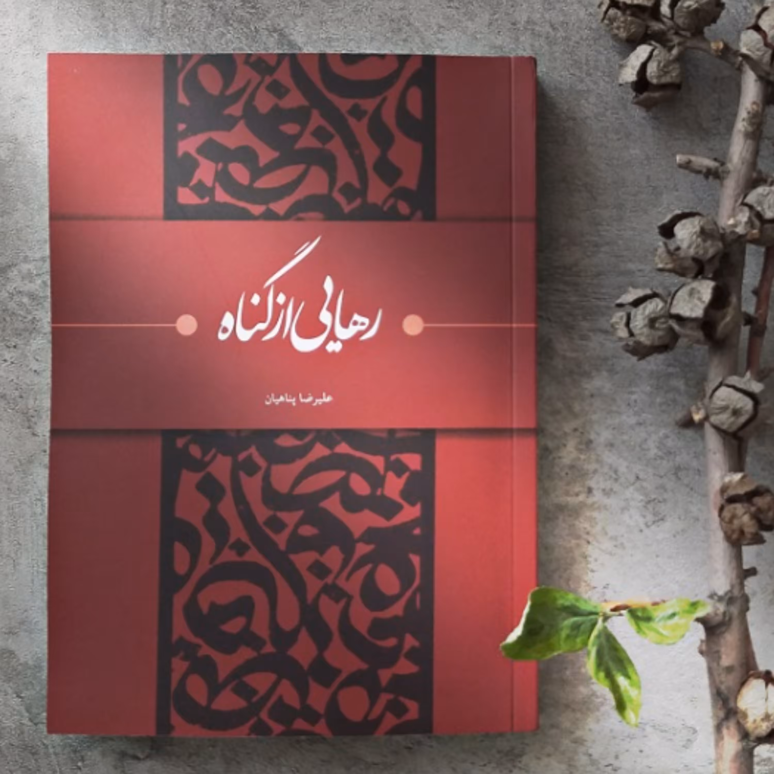 کتاب رهایی از گناه اثر علیرضا پناهیان دفتر نشر معارف