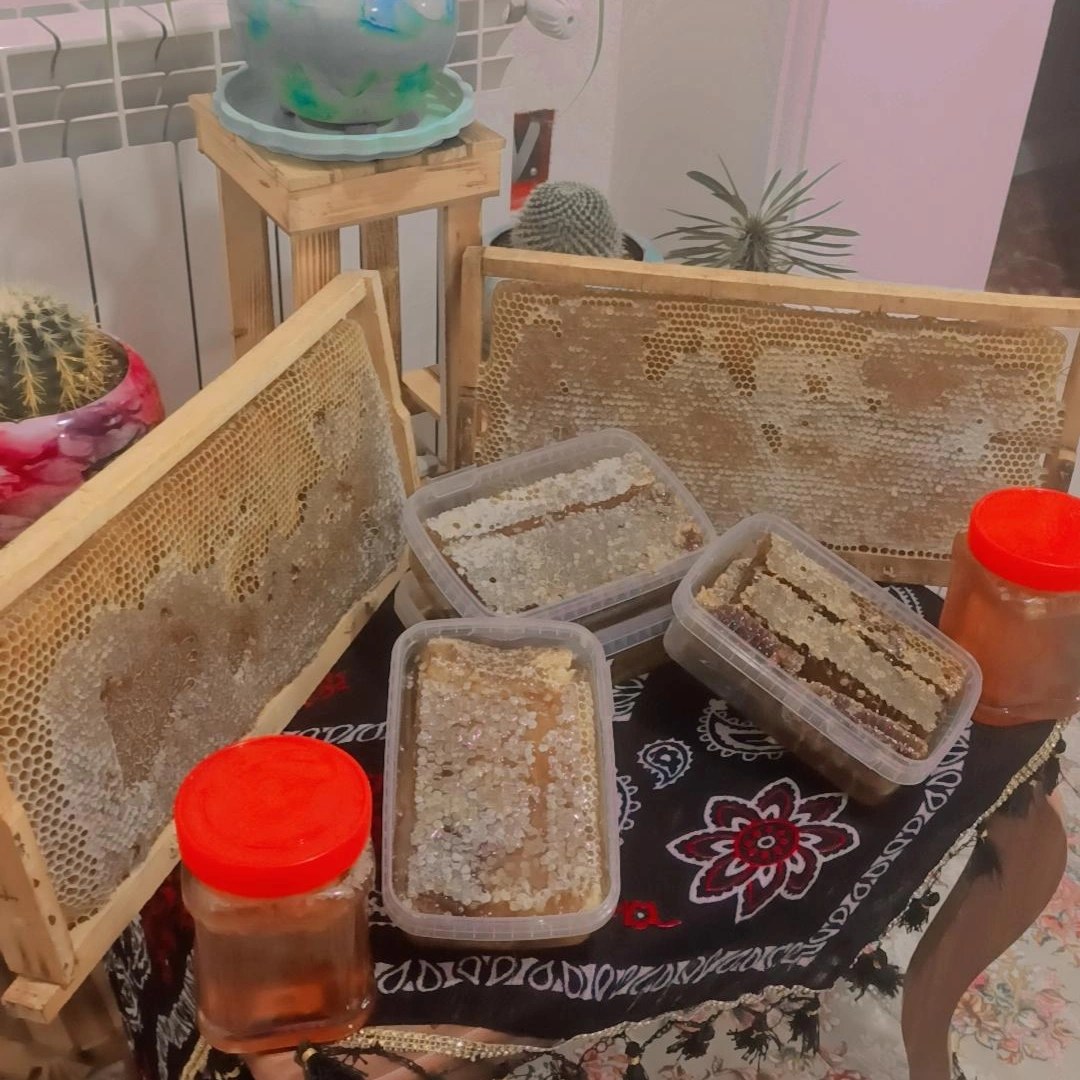 عسل کاملا طبیعی برگرفته از ارتفاعات کردستان طعمی بی نظیر